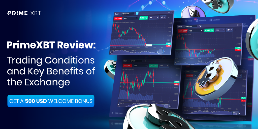 Understanding PrimeXBT Account Types for Successful Trading